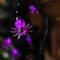 10ct. 4ft. Purple Spider LED Halloween Black Wire Lights